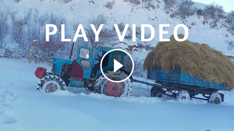 WILL EXTRACT? Tractor T-40 IN THE SNOW. Tractor videos